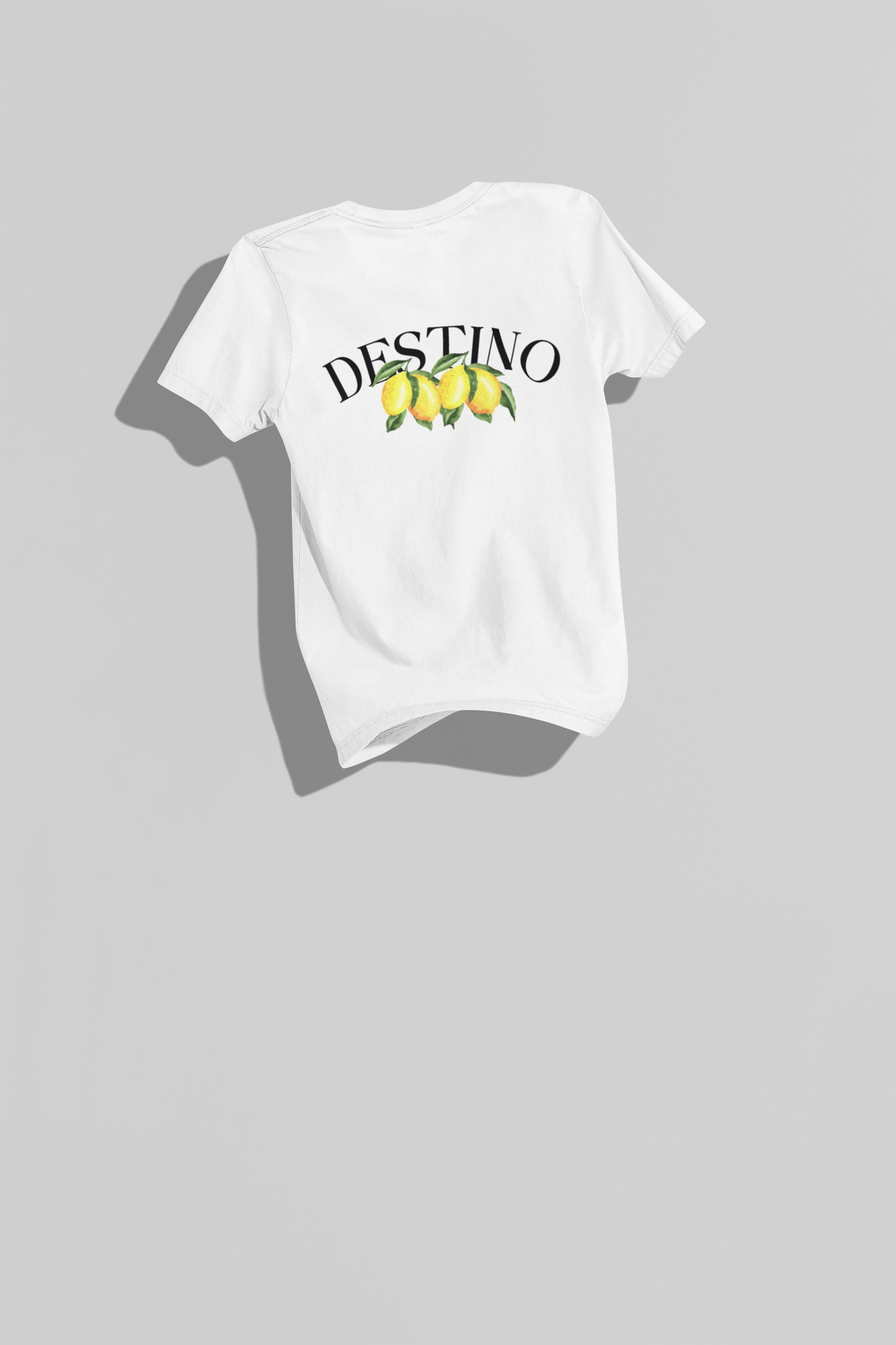 CAMISETA DESTINO
