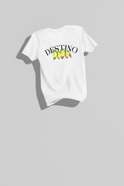 CAMISETA DESTINO